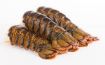 ONLINE: 14 oz-15 oz Wild Caught Lobster Tail (3 tails)